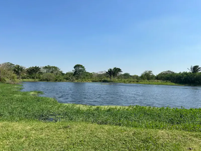 Foto 7 de Terreno de en venta en Urbanización Laguna Norte – Warnes