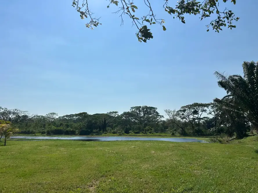 Foto 6 de Terreno de en venta en Urbanización Laguna Norte – Warnes