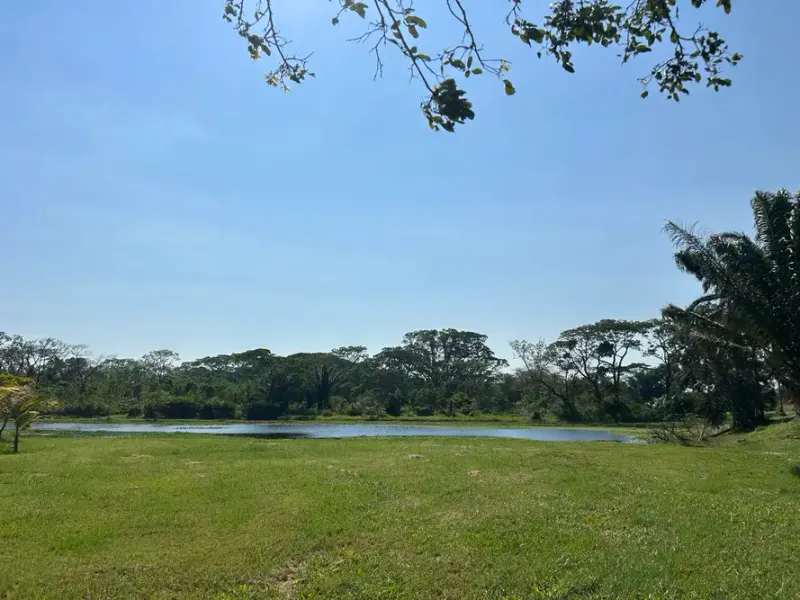 Foto 6 de Terreno de en venta en Urbanización Laguna Norte – Warnes