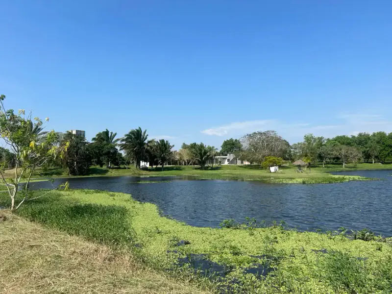 Foto 10 de Terreno de en venta en Urbanización Laguna Norte – Warnes