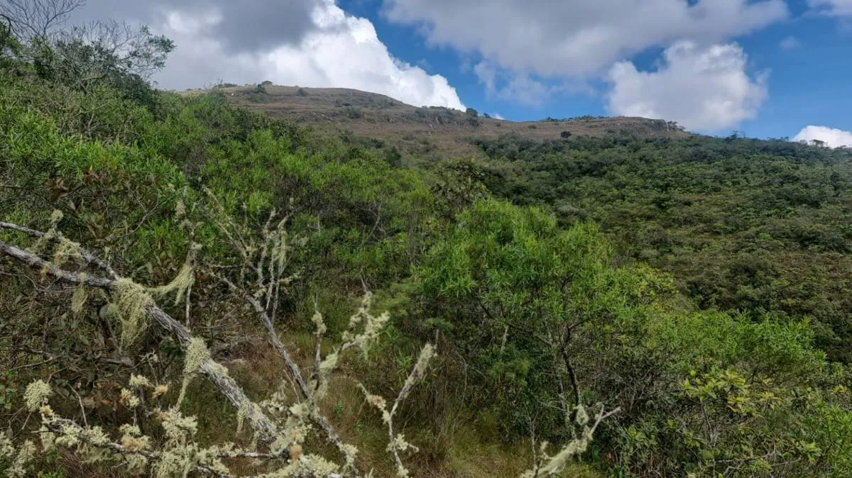 Foto 8 de Terreno en Venta – Samaipata | 4.500 M² | Crédito Directo