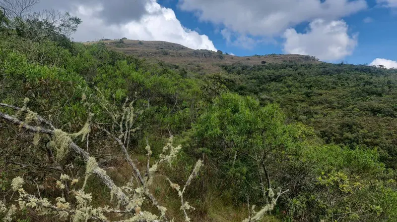 Foto 8 de Terreno en Venta – Samaipata | 4.500 M² | Crédito Directo