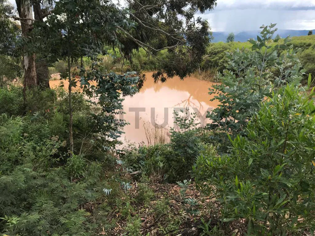 Foto 5 de Una Quinta en Samaipata de 6.5 Hectáreas