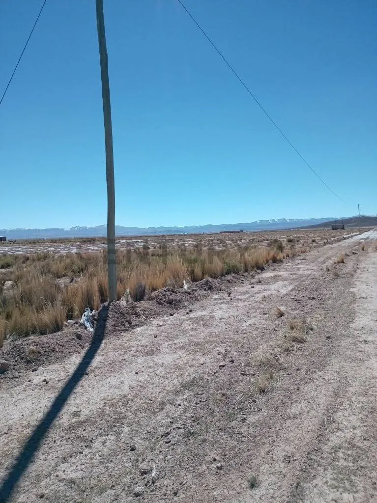 Foto 5 de Terreno en Venta