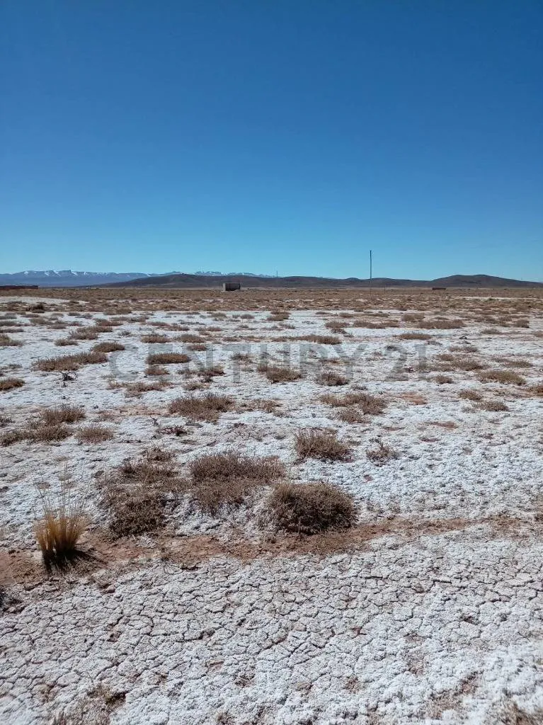 Foto 3 de Terreno en Venta