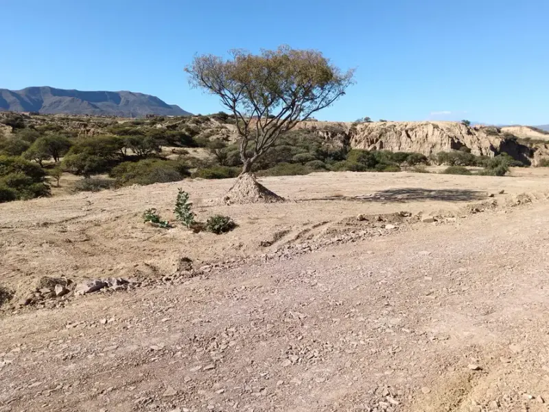 Foto 10 de Lote en esquina, ideal para construir tu vivienda