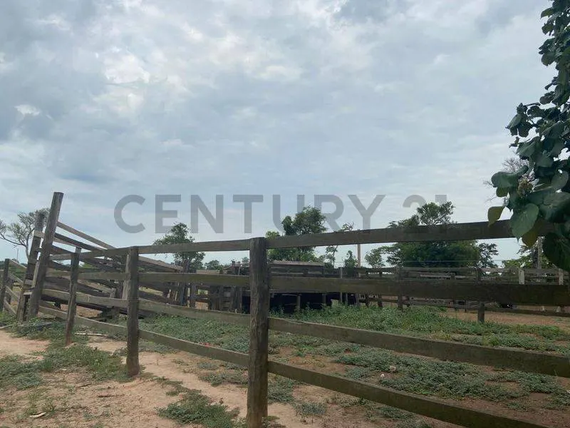 Foto 7 de Propiedad Productiva en Venta a 7km de Paurito