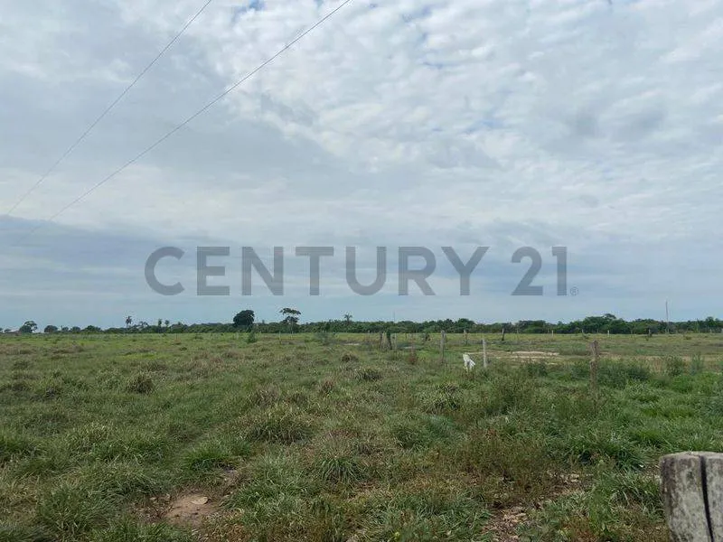 Foto 1 de Propiedad Productiva en Venta a 7km de Paurito