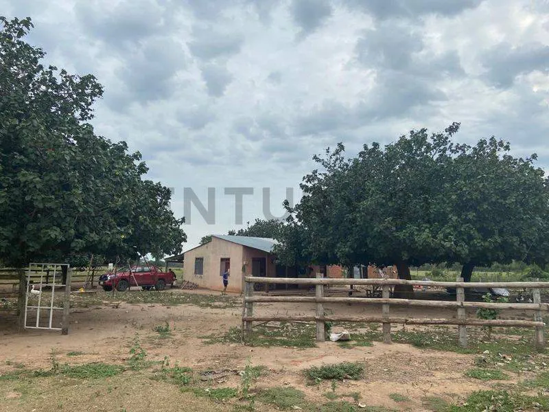 Foto 4 de Propiedad Productiva en Venta a 7km de Paurito