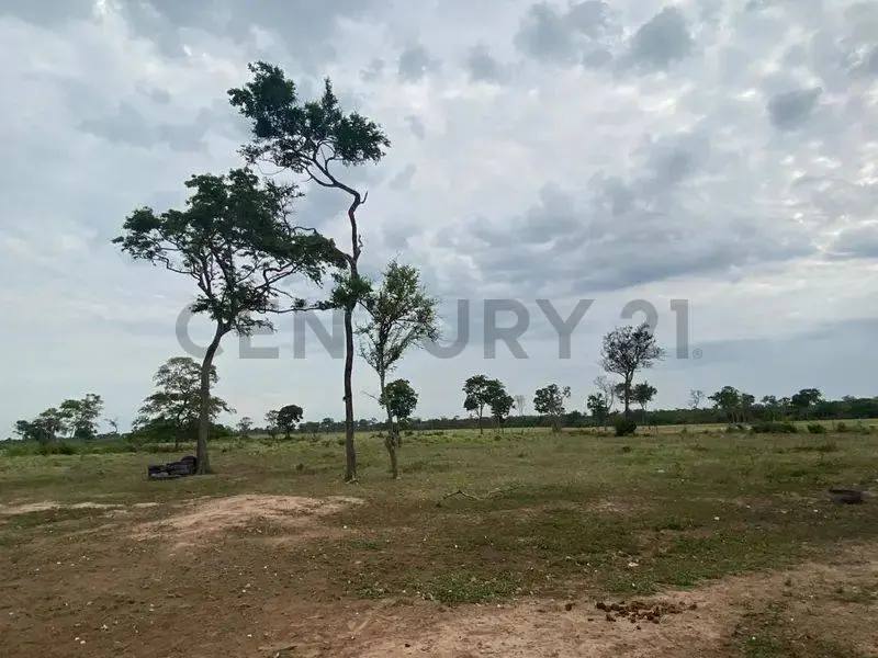 Foto 6 de Propiedad Productiva en Venta a 7km de Paurito