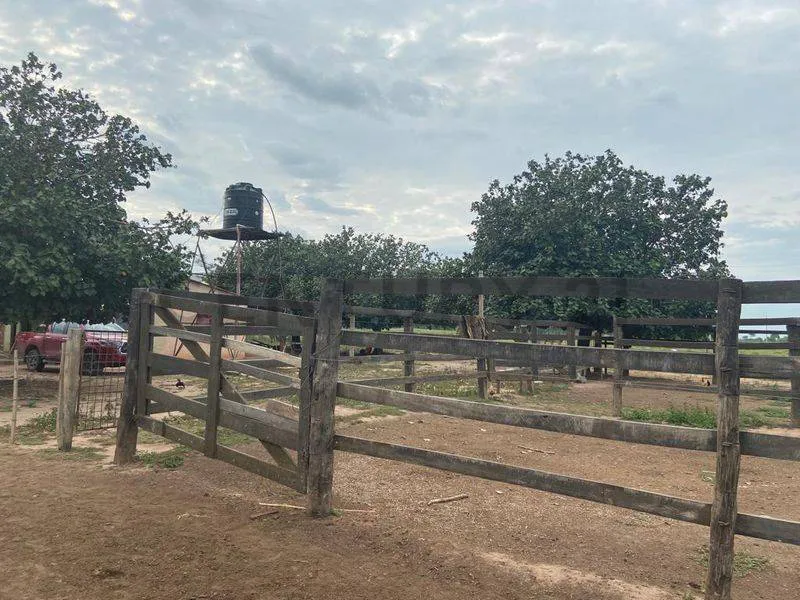 Foto 3 de Propiedad Productiva en Venta a 7km de Paurito