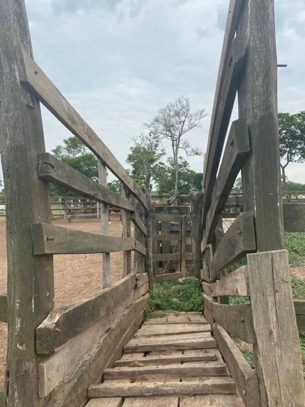 Foto 9 de Propiedad Productiva en Venta a 7km de Paurito
