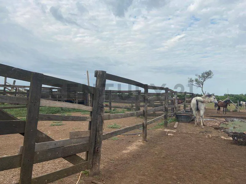 Foto 8 de Propiedad Productiva en Venta a 7km de Paurito
