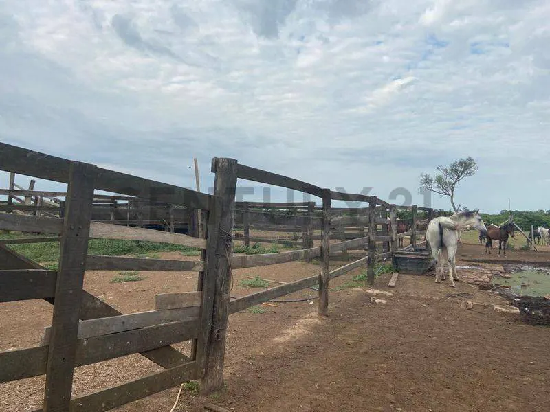 Foto 8 de Propiedad Productiva en Venta a 7km de Paurito