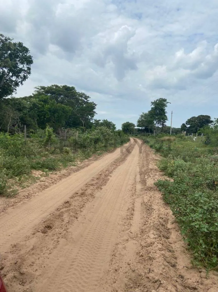 Foto 5 de Propiedad Productiva en Venta a 7km de Paurito