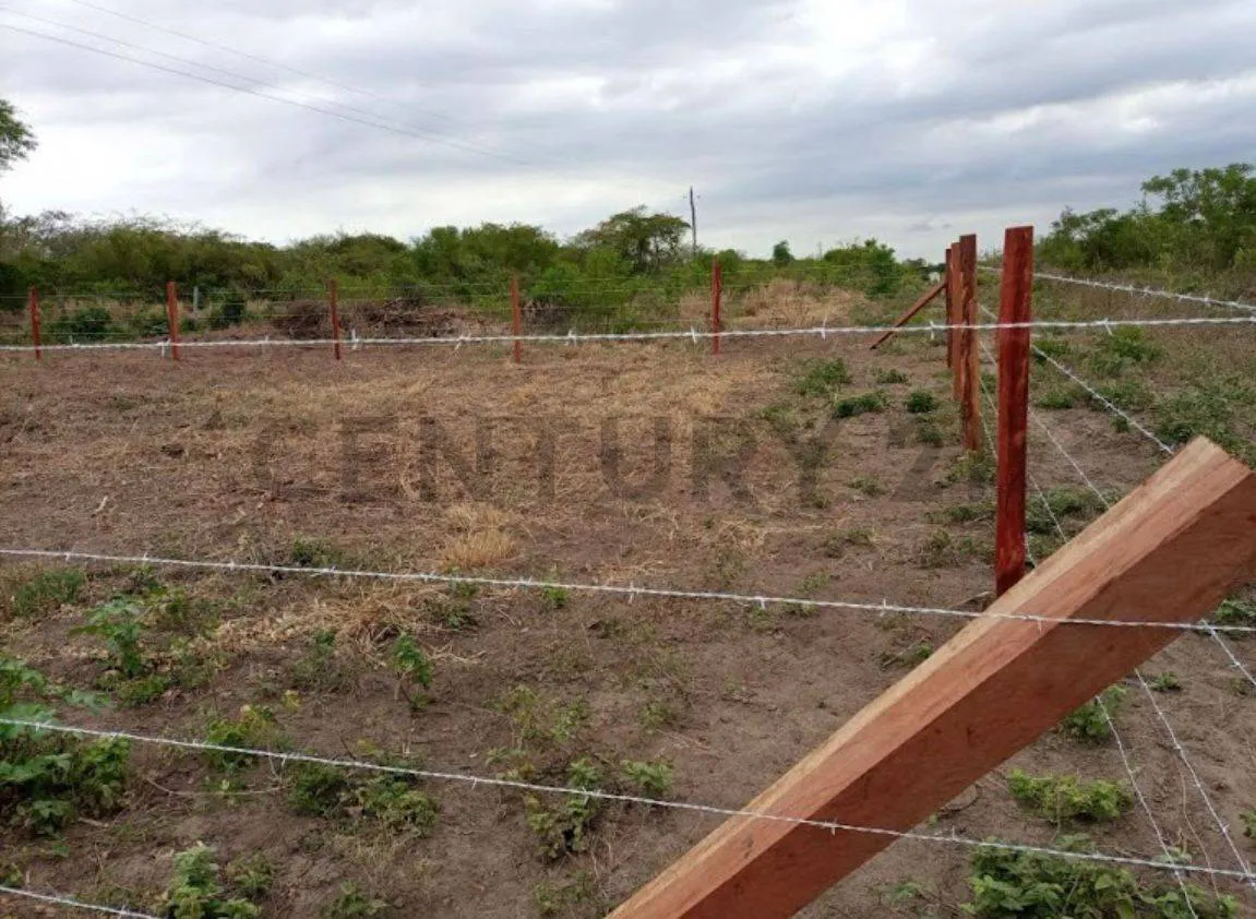 Foto 6 de Terrenos en Venta – Zona El Palmar Urbanización Villa Milagros – Brecha 7