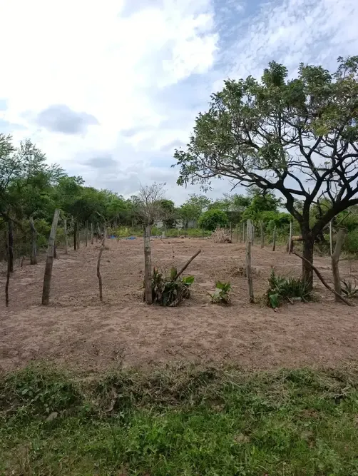 Foto 3 de Terreno en venta Urbanización Gremial, Av. 3 pasos al frente, en la zona Este
