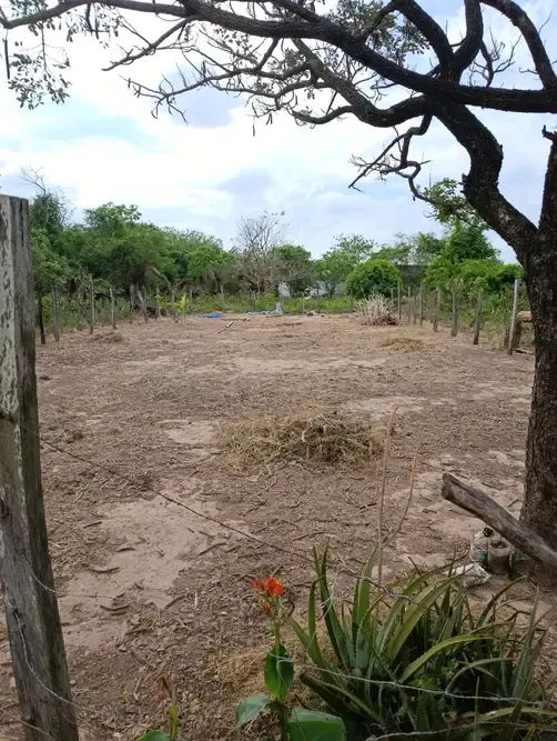 Foto 1 de Terreno en venta Urbanización Gremial, Av. 3 pasos al frente, en la zona Este