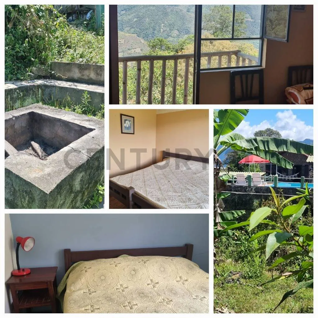 Foto 13 de Casa de Campo en Venta en Coroico – Yalaca / Inca Pampa