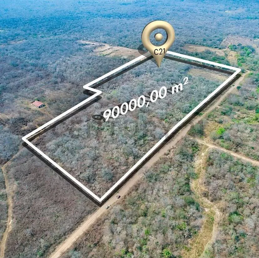 Foto 2 de Oportunidad de Inversión en San José de Chiquitos