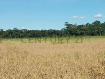 Foto 4 de ¡¡Pequeña Propiedad Altamente Productiva!!