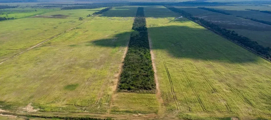 Foto 1 de En Venta | Propiedad Agrícola en San Julian - Santa Cruz
