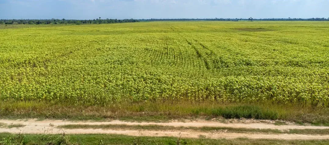 Foto 4 de En Venta | Propiedad Agrícola en San Julian - Santa Cruz