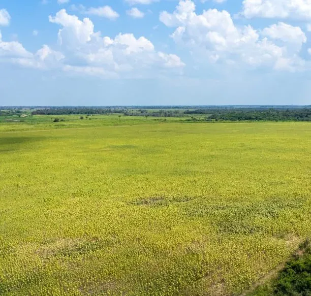 Foto 5 de En Venta | Propiedad Agrícola en San Julian - Santa Cruz