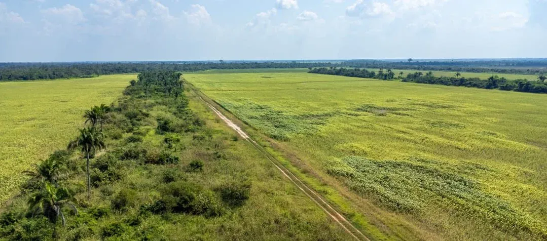 Foto 3 de En Venta | Propiedad Agrícola en San Julian - Santa Cruz