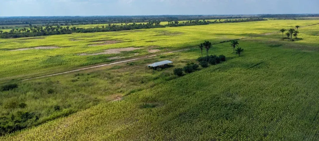 Foto 2 de En Venta | Propiedad Agrícola en San Julian - Santa Cruz