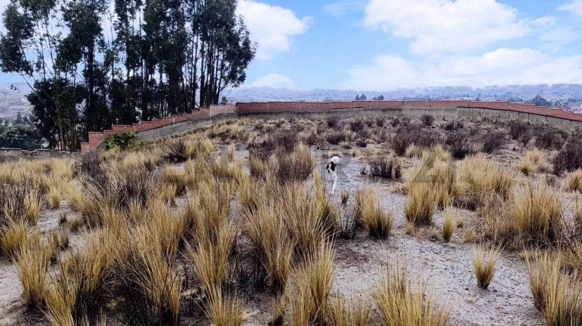 Foto 6 de Terreno en Venta Cañuhuma, Achocalla