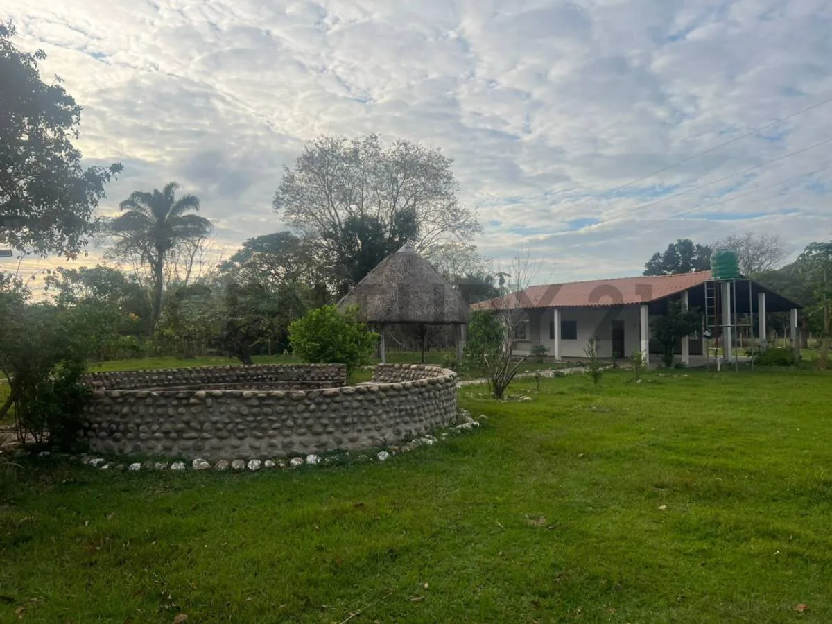 Foto 4 de Propiedad en Venta - 32 Hectarias en Buena Vista Camino a Caranda