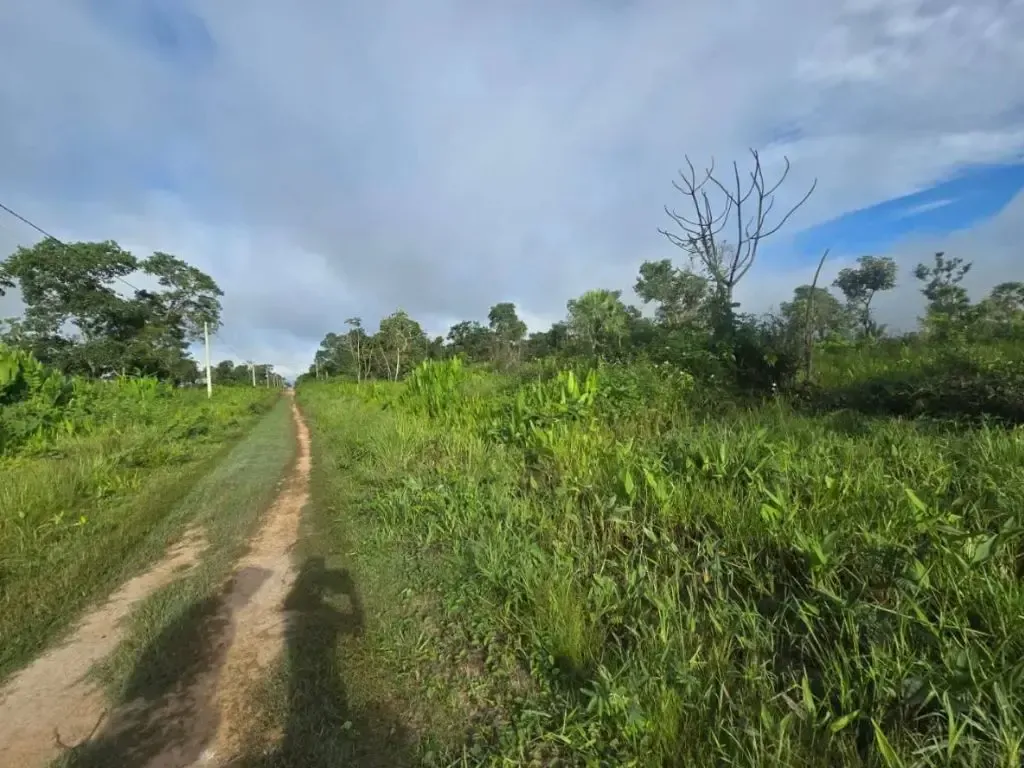 Foto 1 de En Venta 5,000 Hectareas De Terreno En El Beni