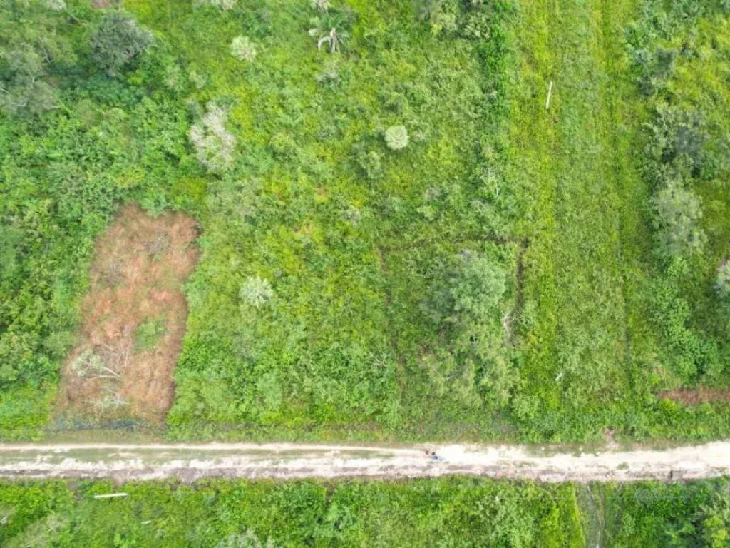 Foto 5 de En Venta 5,000 Hectareas De Terreno En El Beni