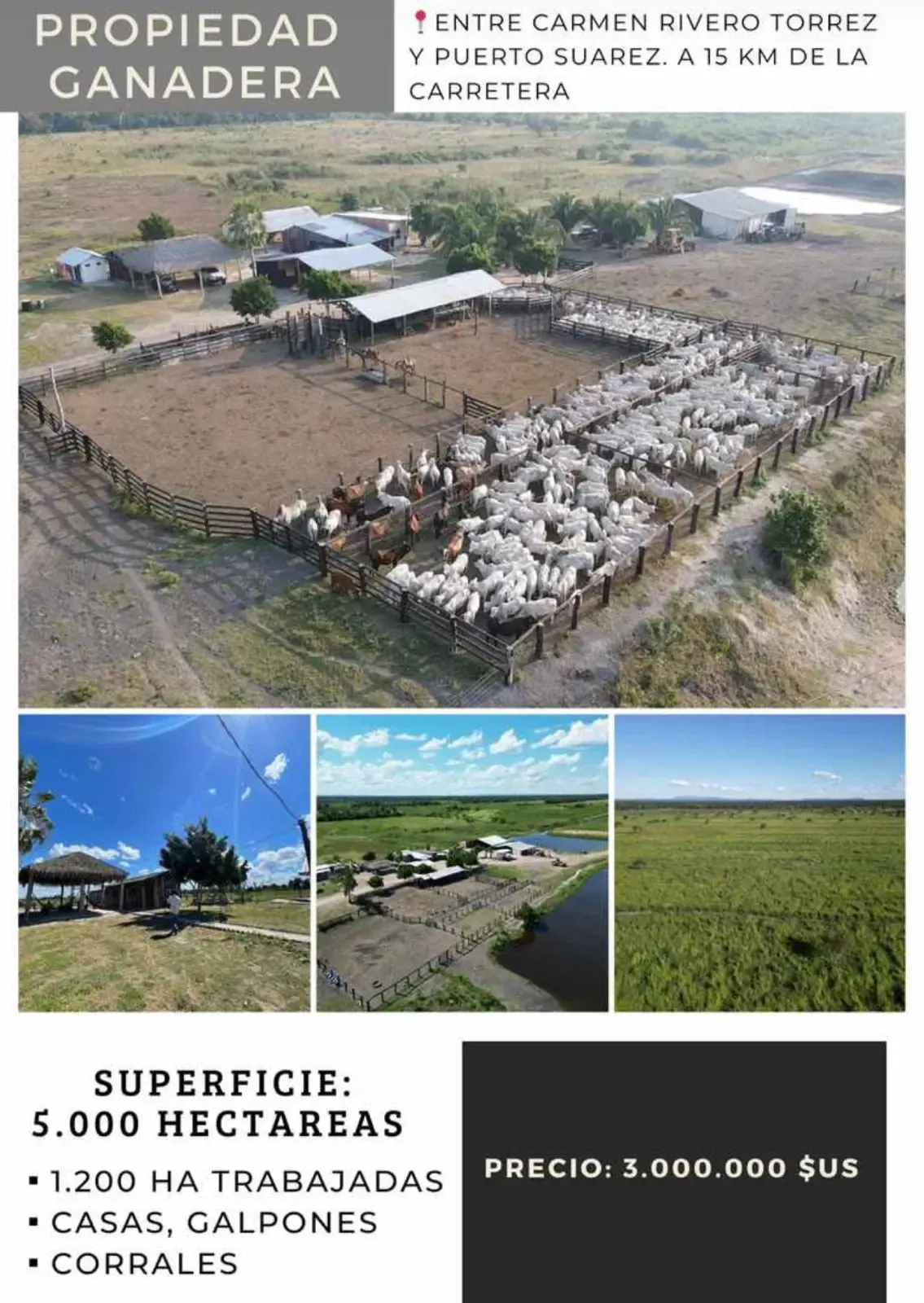 Foto 1 de Propiedad Ganadera en Venta