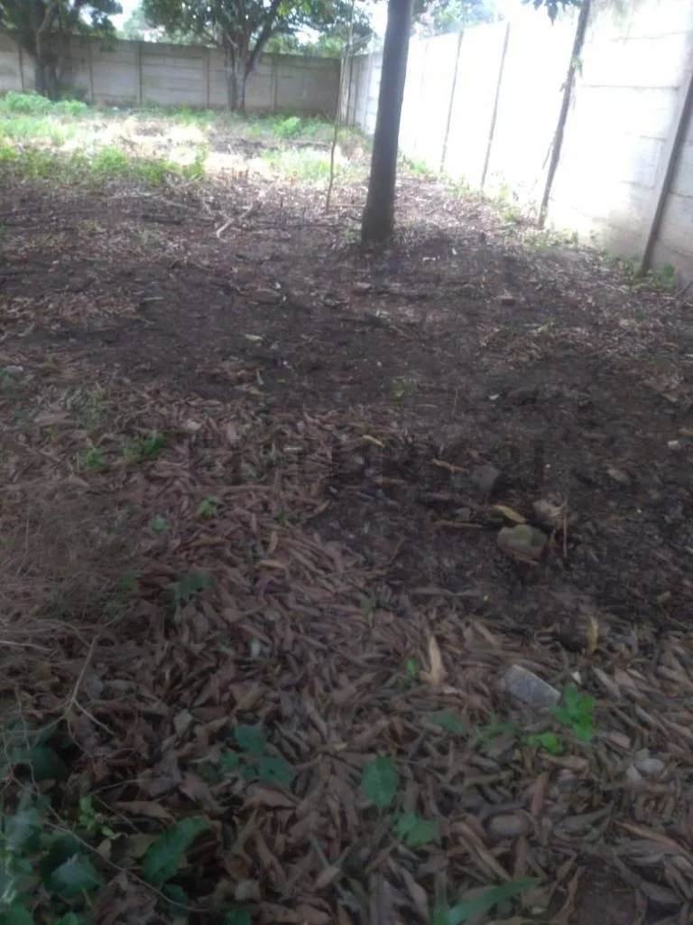 Foto 3 de Terreno en Alquiler en Zona Cotoca