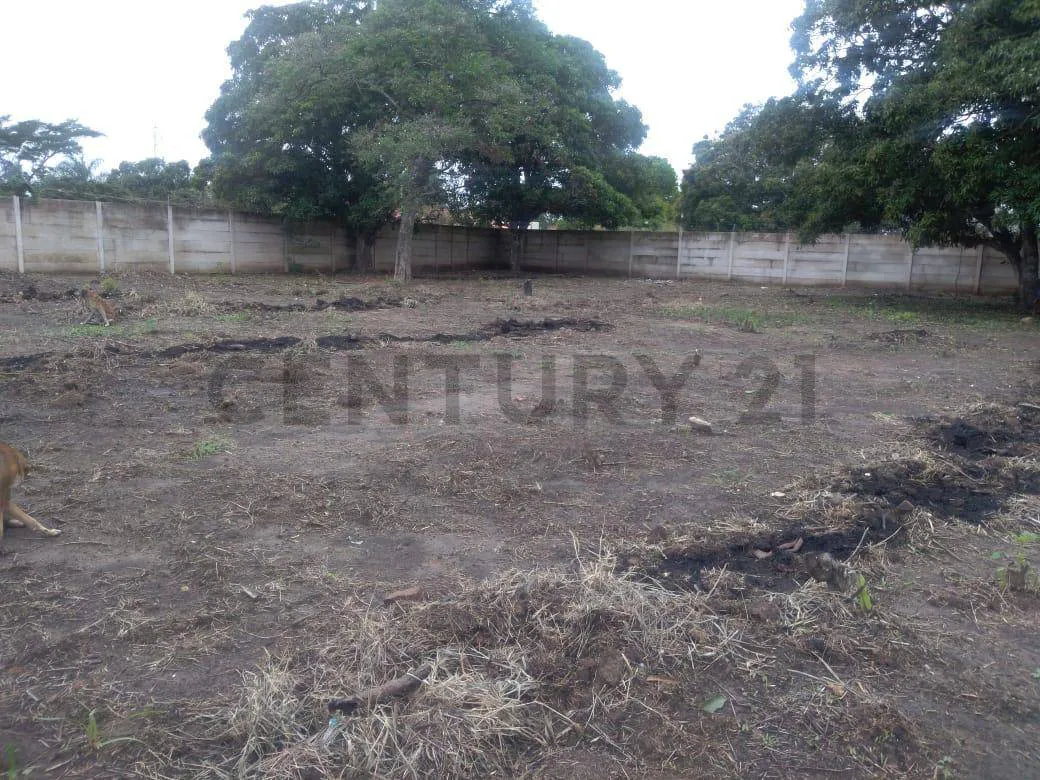 Foto 5 de Terreno en Alquiler en Zona Cotoca