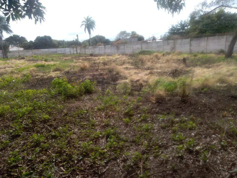 Foto 6 de Terreno en Alquiler en Zona Cotoca