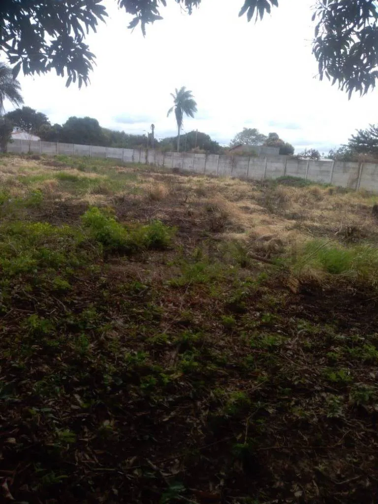 Foto 4 de Terreno en Alquiler en Zona Cotoca