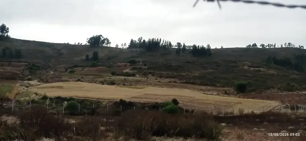 Foto 1 de Propiedad en Venta Lista para Produccion Agricola y Crianza de Animales.