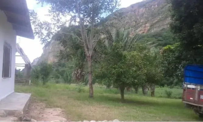 Foto 3 de De Ocación Vendo $Us.- 75.000, Quinta de 30