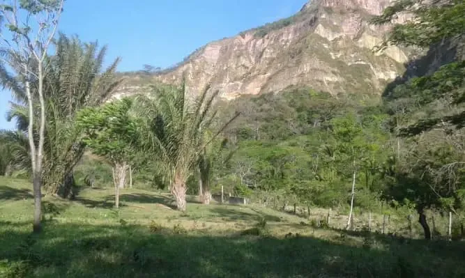 Foto 5 de De Ocación Vendo $Us.- 75.000, Quinta de 30