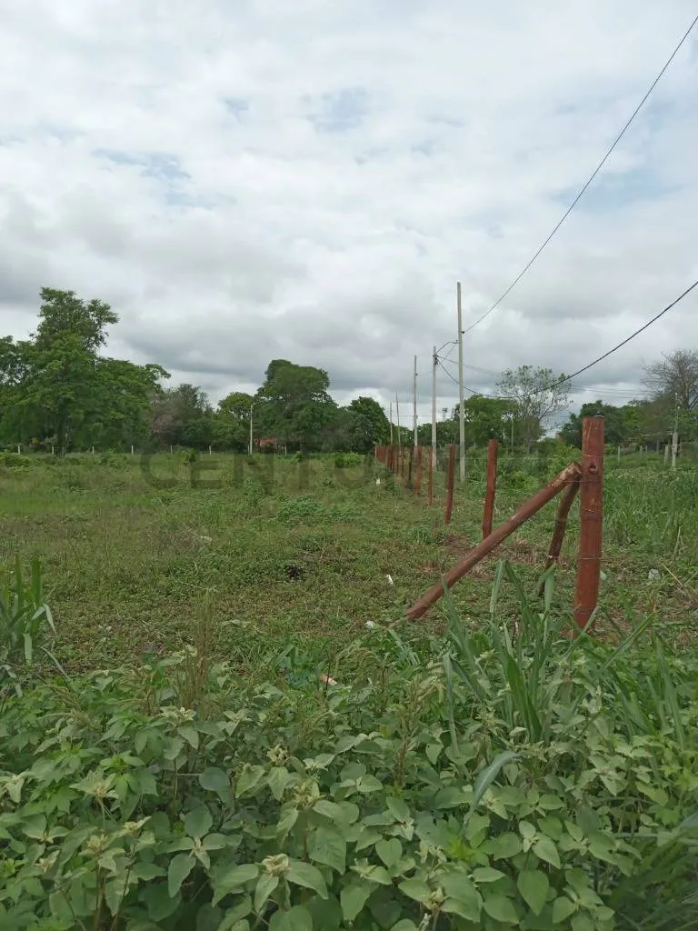 Foto 2 de Terreno en Venta - Puerto quijarro