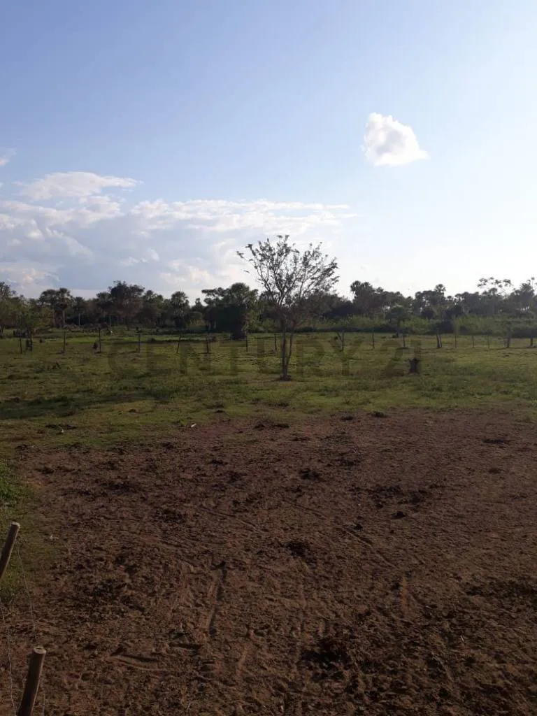 Foto 6 de Propiedad Ganadera en Venta en El Beni
