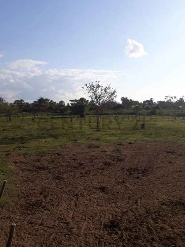 Foto 6 de Propiedad Ganadera en Venta en El Beni