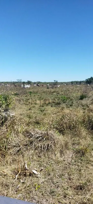 Foto 12 de Propiedad Ganadera en Venta en El Beni