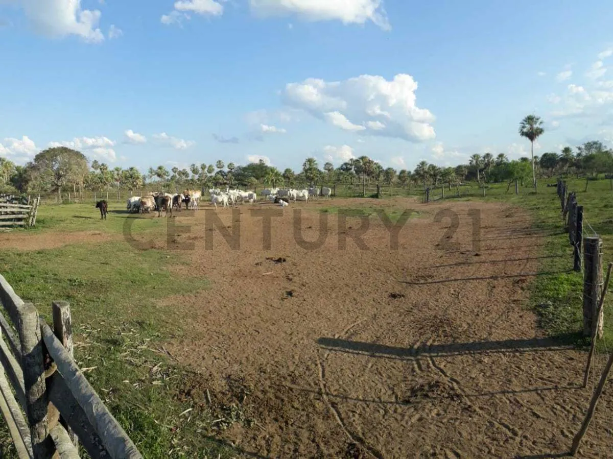 Foto 4 de Propiedad Ganadera en Venta en El Beni