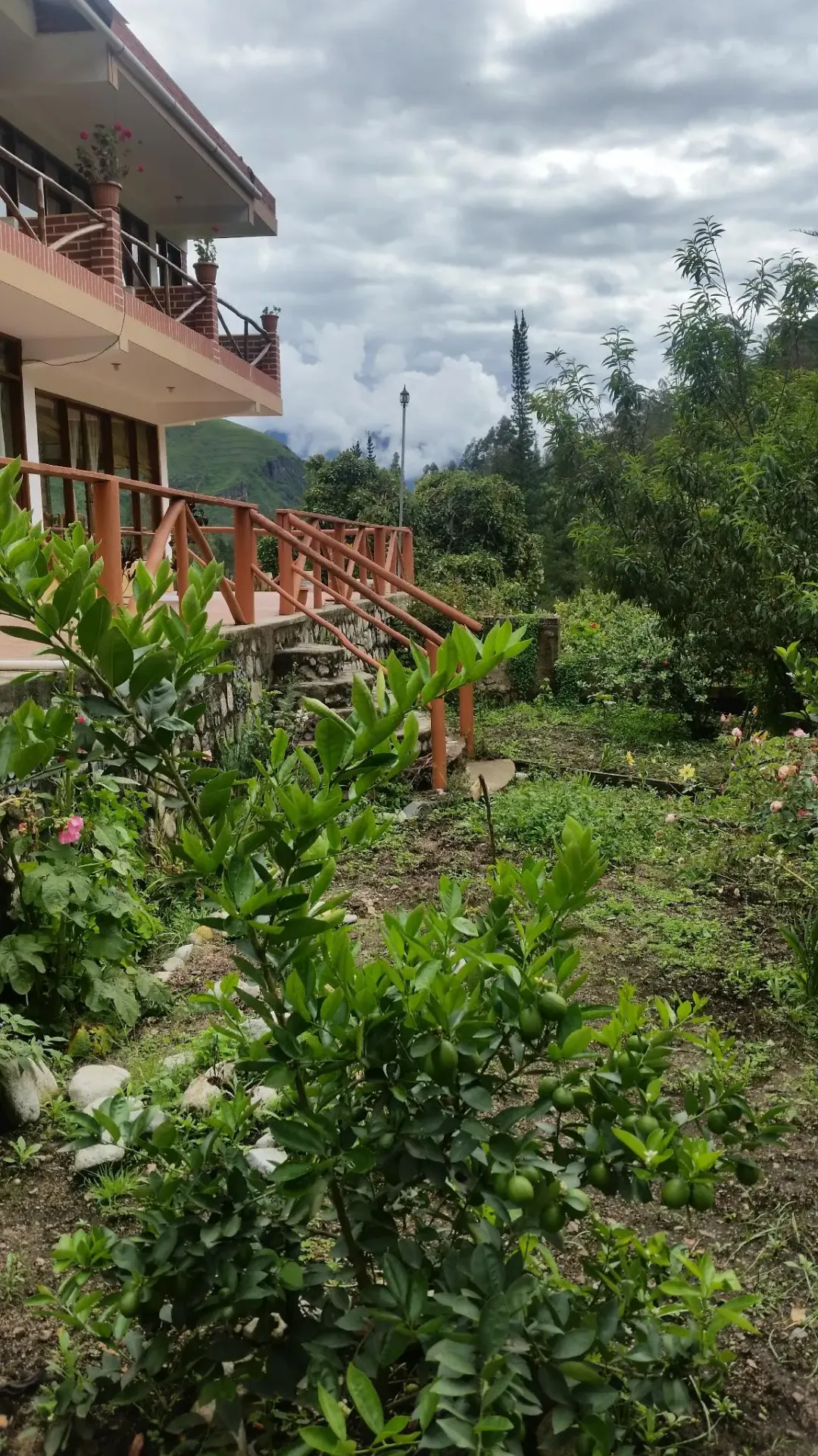 Foto 2 de Precioso Hostal en SORATA
