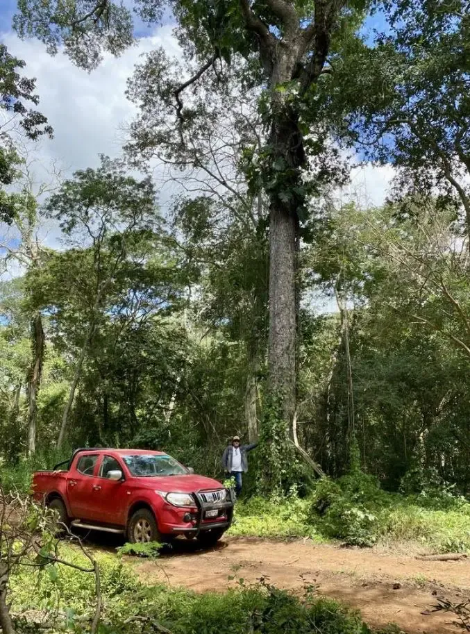 Foto 4 de En Venta: 8.906 Hectáreas a aprox. 100 kms al Norte de Tapera