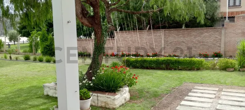 Foto 7 de Terreno a Orillas del Lago de La Angostura en Venta